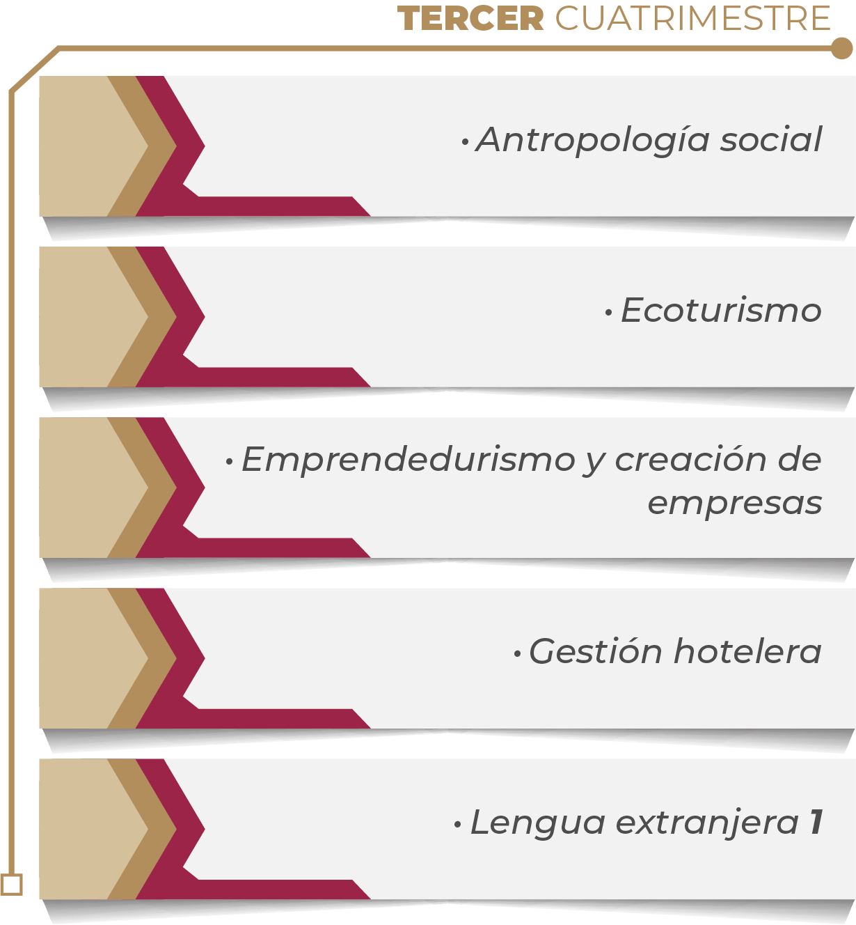 MAPA CURRICULAR SOFTWARE